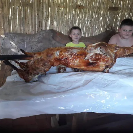 Auto Kamp Drina * Crnca
