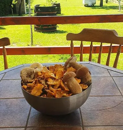 Auto Camp Drina-crnca *