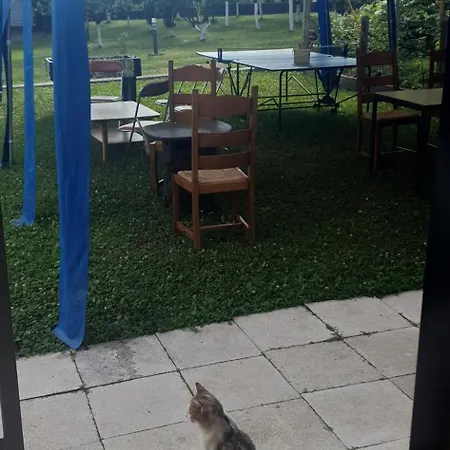 Camping Auto Camp Drina-crnca