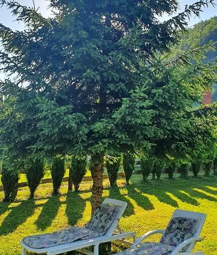 Kemping Auto Camp Drina-crnca Crnca